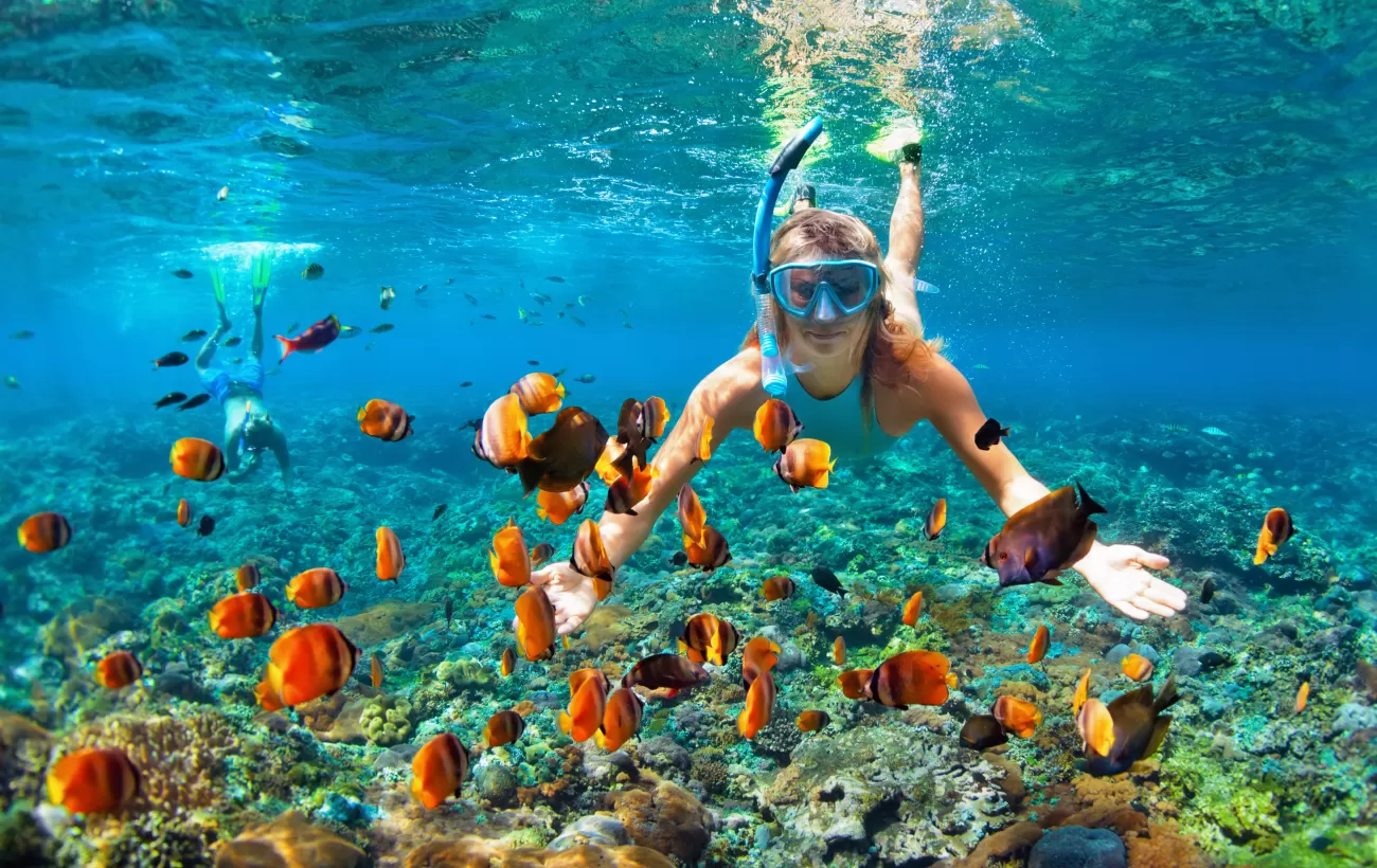 Snorkeling Trip
